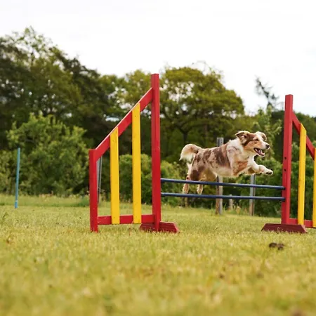 Ferienhaus Hof Köhne - Forsthaus 3er Schmallenberg