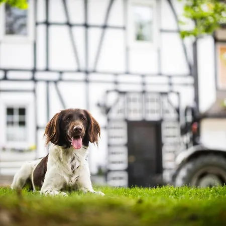 Ferienhaus Hof Köhne - Forsthaus 3er *