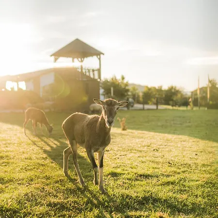 Hof Köhne - Forsthaus 3er Schmallenberg