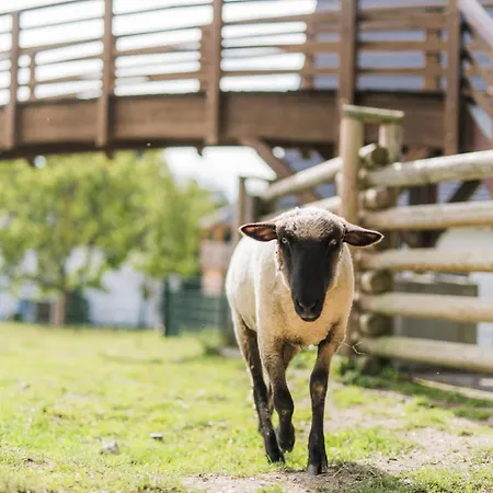 بيت للعطل Hof Koehne - Forsthaus 3er سشمالنبرغ