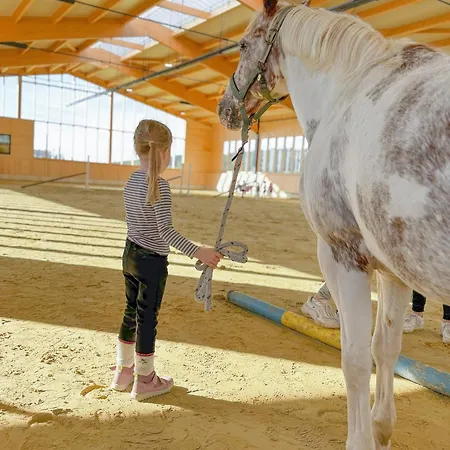 Hof Köhne - Forsthaus 3er Ferienhaus Schmallenberg