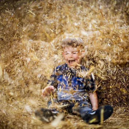 Ferienhaus Hof Köhne - Forsthaus 3er Schmallenberg