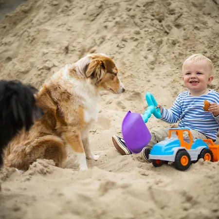 Hof Köhne - Forsthaus 3er