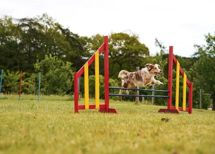 بيت للعطل Hof Koehne - Forsthaus 3er سشمالنبرغ