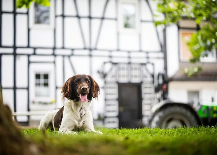 بيت للعطل Hof Koehne - Forsthaus 3er *