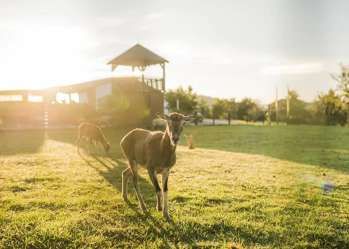 Hof Koehne - Forsthaus 3er سشمالنبرغ