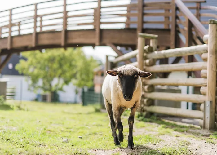 بيت للعطل Hof Koehne - Forsthaus 3er سشمالنبرغ